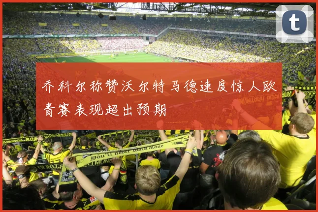 乔科尔称赞沃尔特马德速度惊人欧青赛表现超出预期