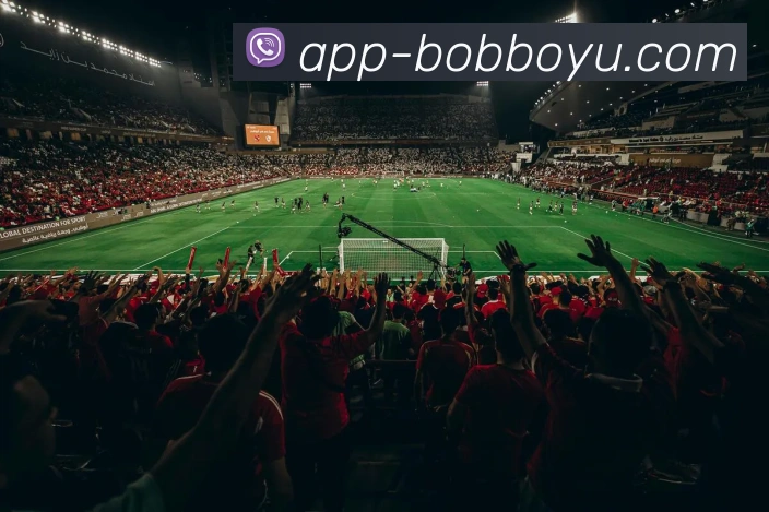 BOB体育平台生态图