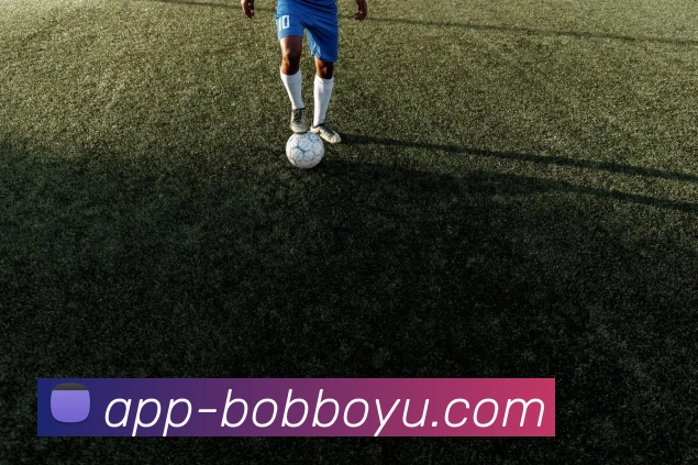 BOB体育APP 封面图